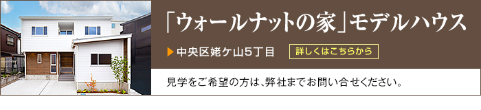 uEH[ibg̉ƁvfnEX